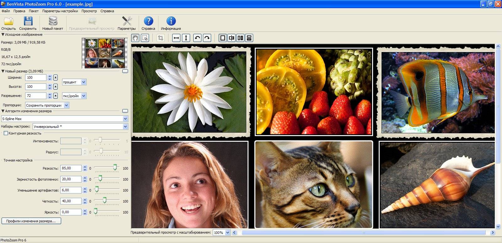Как пользоваться Benvista PhotoZoom Pro 6.0