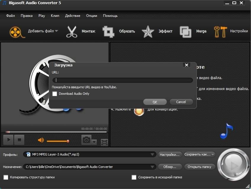 Как пользоваться Bigasoft Audio Converter 5.7.0.8427 RePack by TryRooM