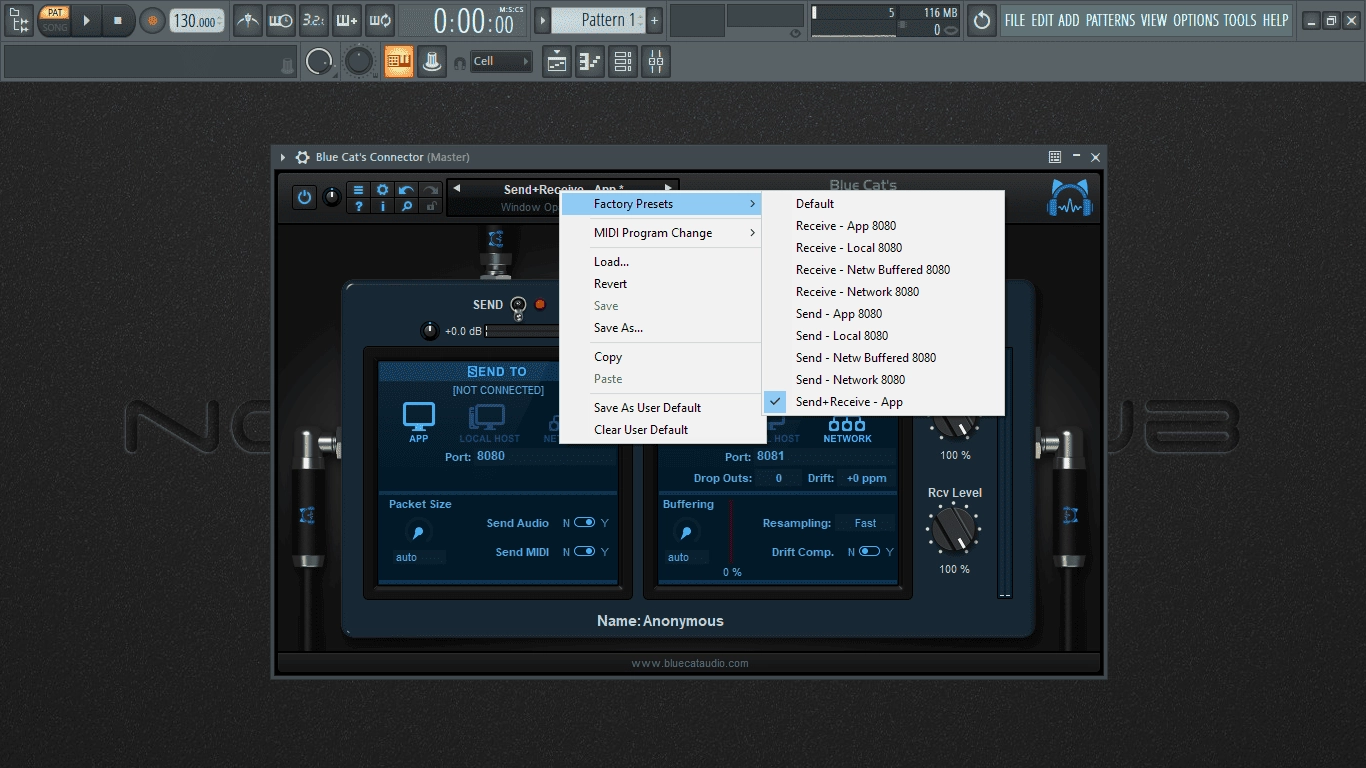 Как пользоваться Blue Cat's Connector 1.12 VST, VST 3, AAX