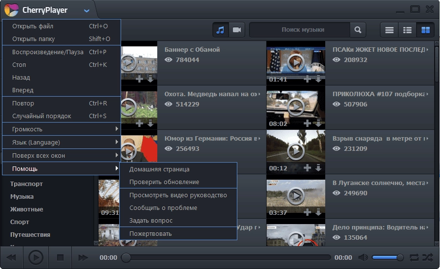 Как пользоваться CherryPlayer 2.0.9 Portable