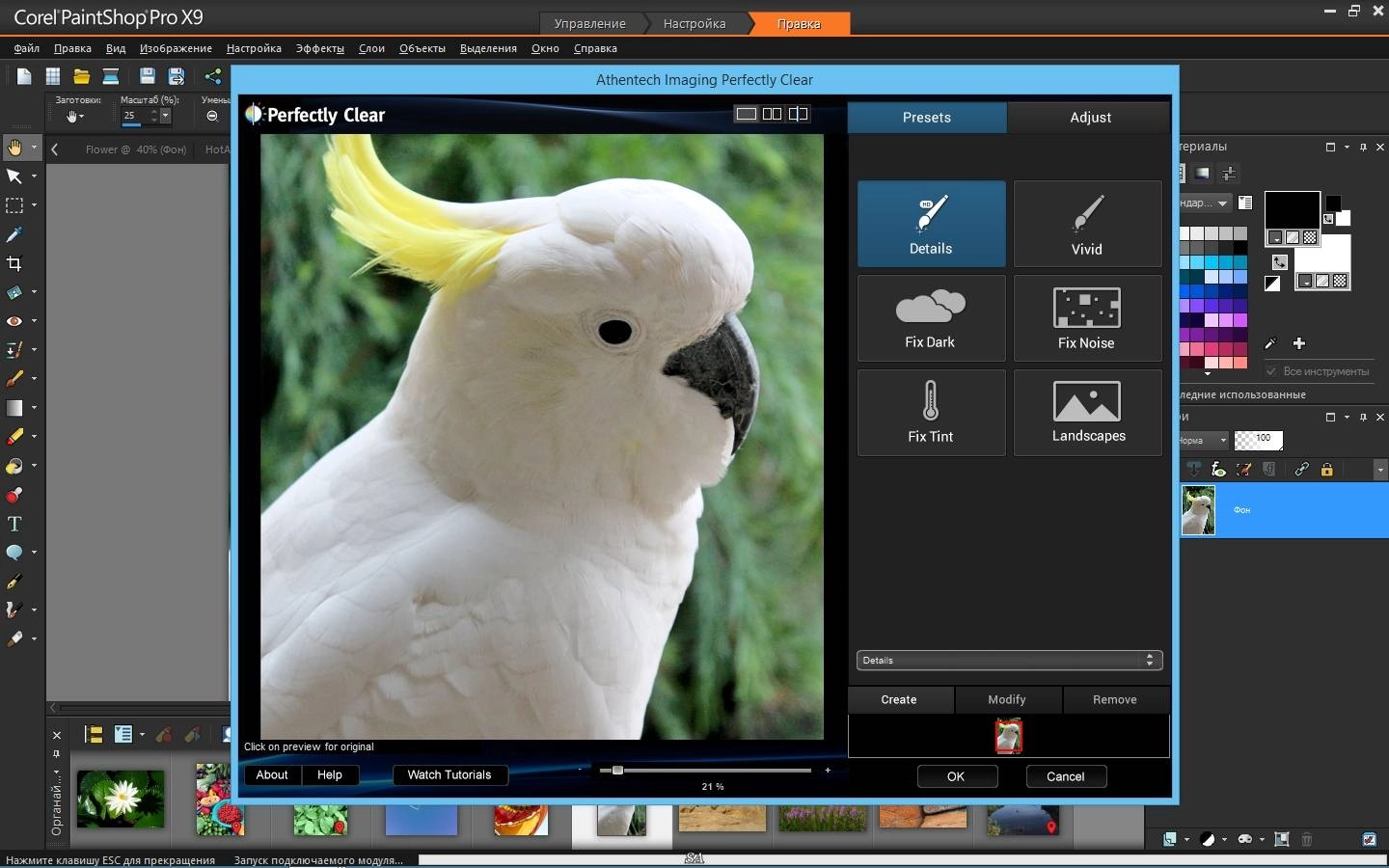 Как пользоваться Corel PaintShop Pro X9 Ultimate 19.1.0.29 + Content