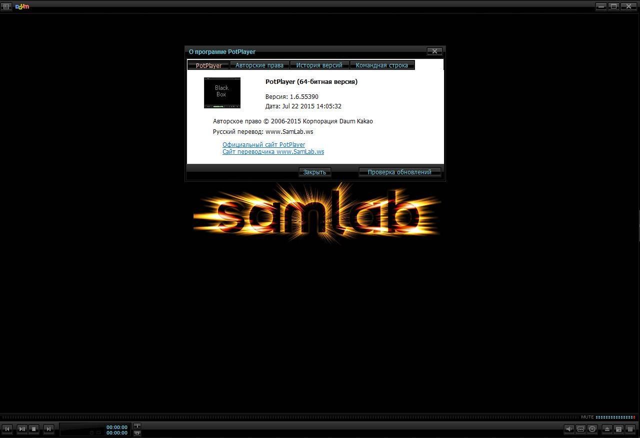 Как пользоваться Daum PotPlayer 1.6.55390 Stable + Portable by SamLab