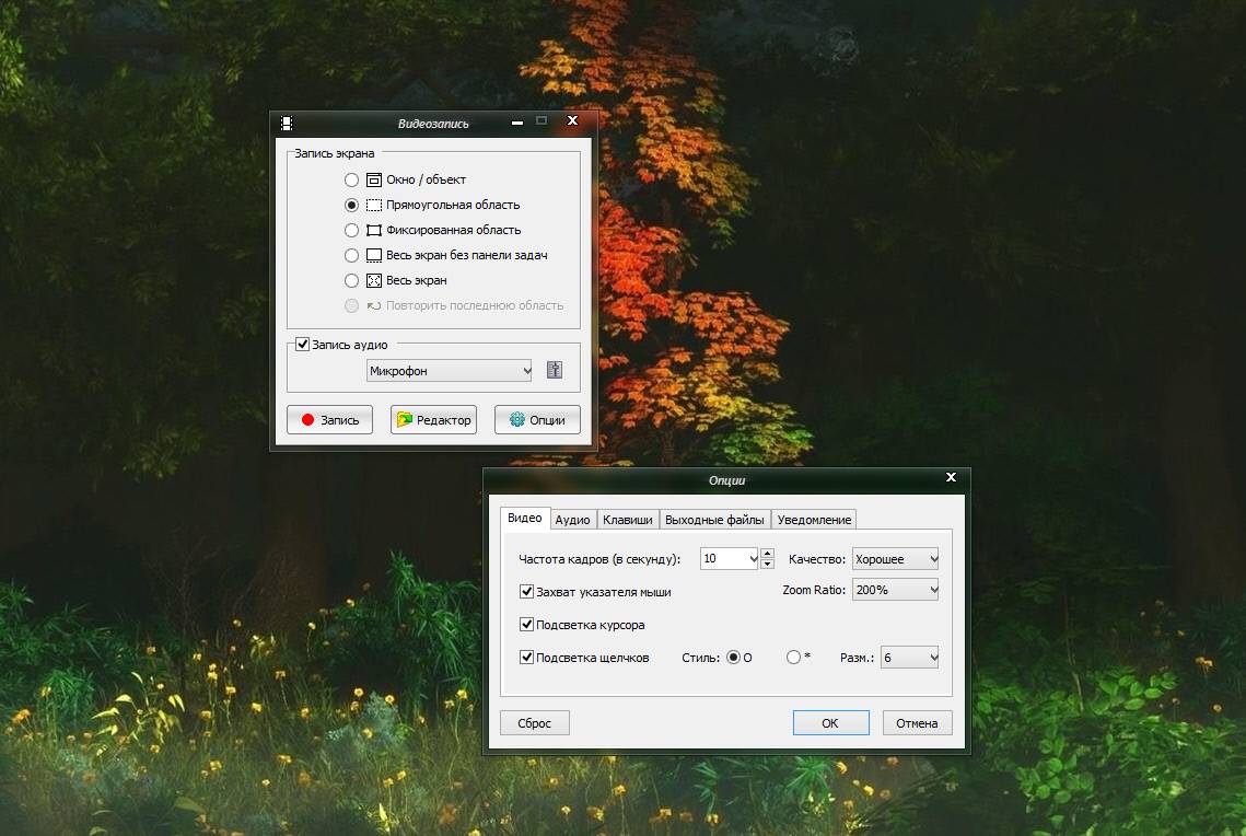Как пользоваться FastStone Capture 8.3 Final + Portable