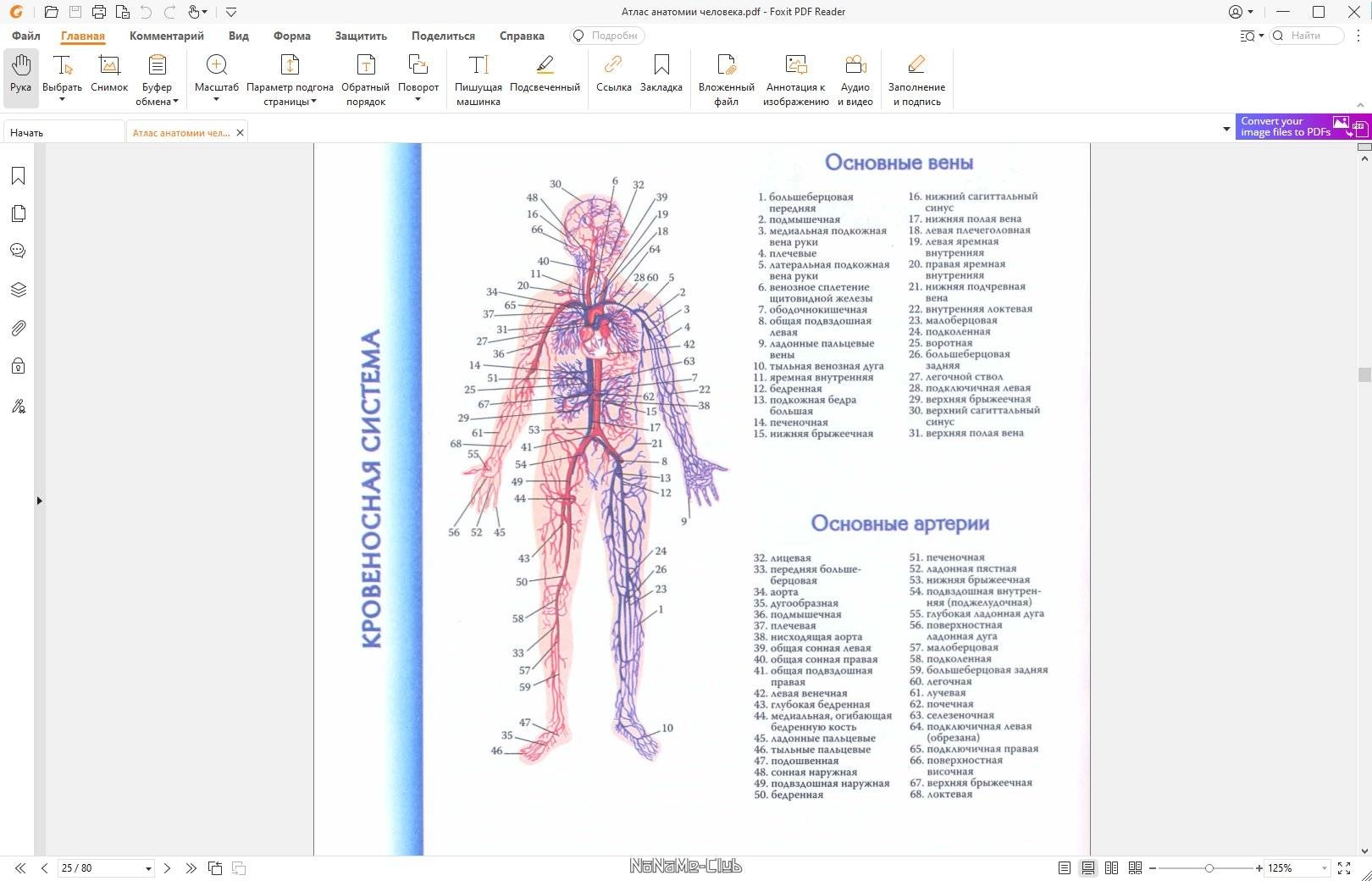 Как пользоваться Foxit PDF Reader 12.1.2.15332