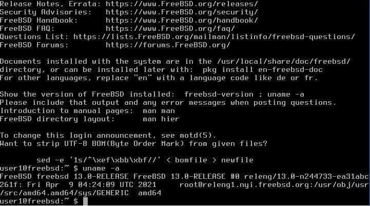 Как пользоваться FreeBSD 13.0 2xDVD