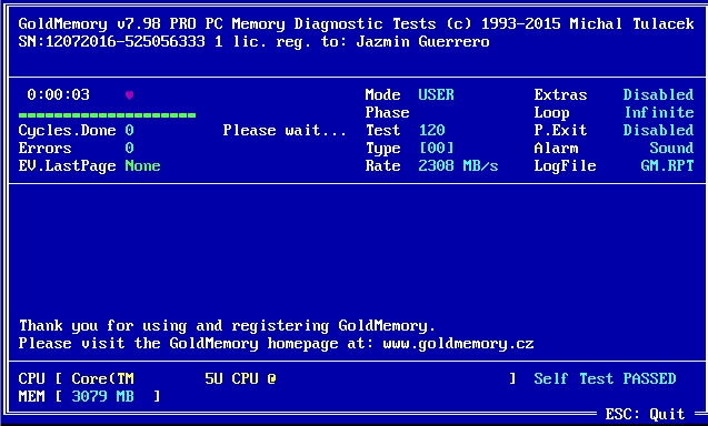 Как пользоваться GoldMemory PRO 7.98