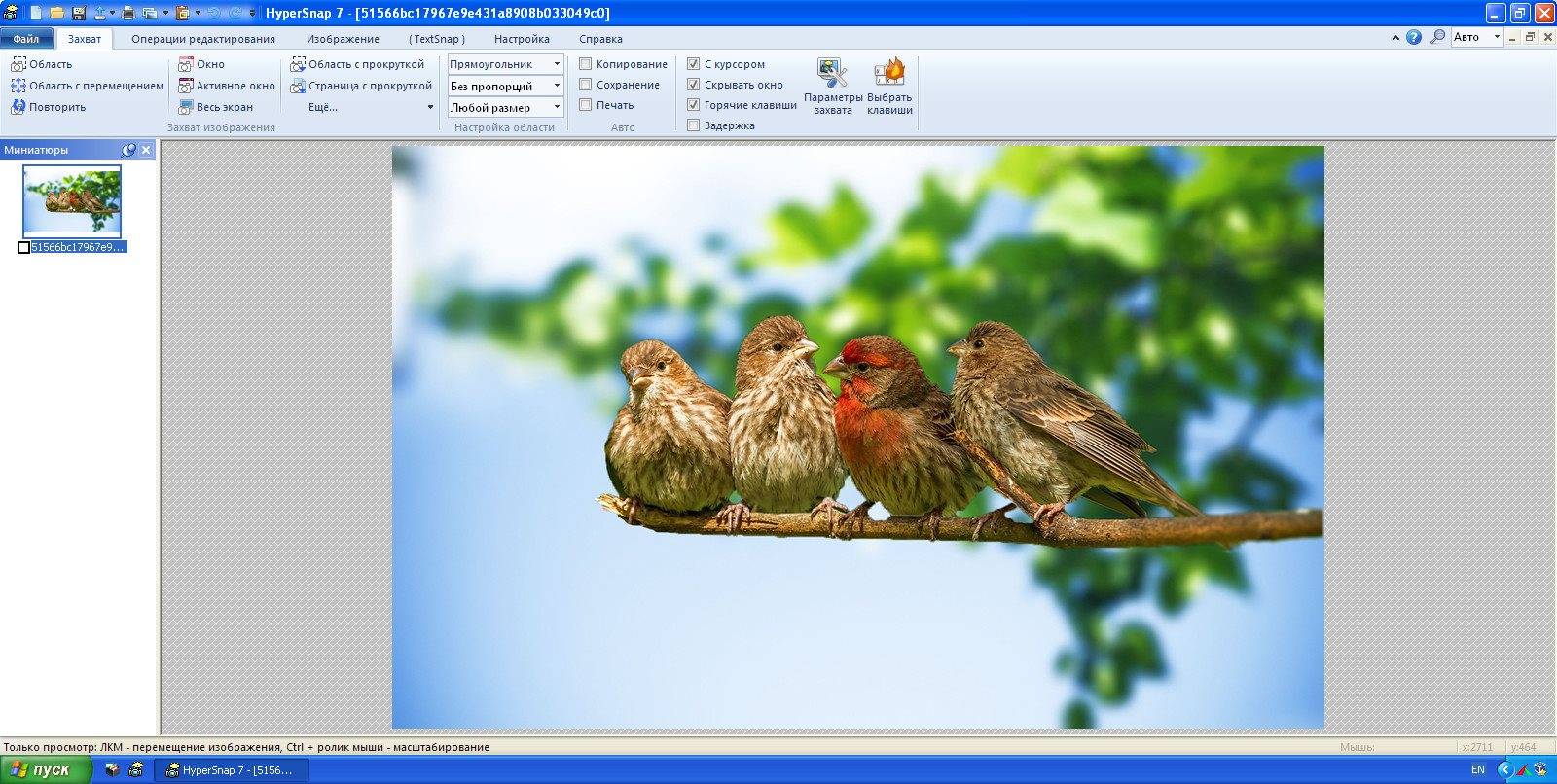 Как пользоваться HyperSnap 7.29.03 RePack by D!akov