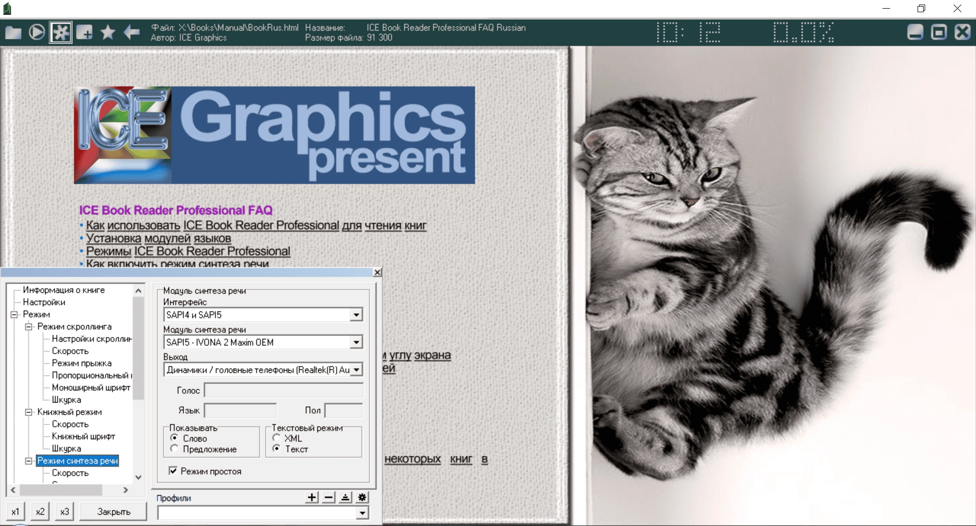 Как пользоваться ICE Book Reader Professional 9.6.4 + Skin + Portable by Deodatto
