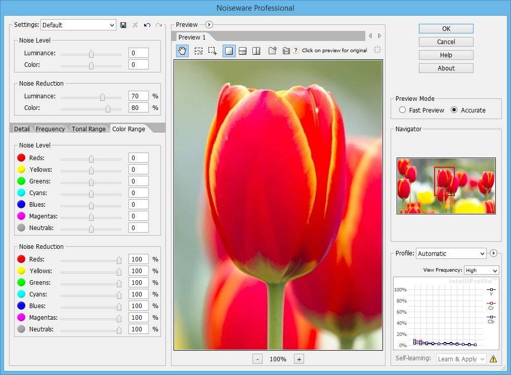 Как пользоваться Imagenomic Portraiture 2.3.4 build 2341 | Noiseware 5.0.3 build 5031 | RealGrain 2.0.1 build RePack by D!akov