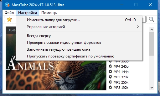 Как пользоваться MassTube Ultra 20.1.4.128 RePack by elchupacabra