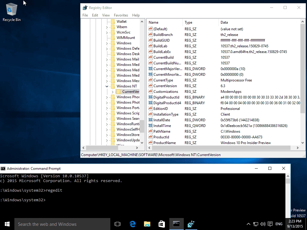 Как пользоваться Microsoft Windows 10 Pro-Home Insider Preview 10.0.10537 WZT