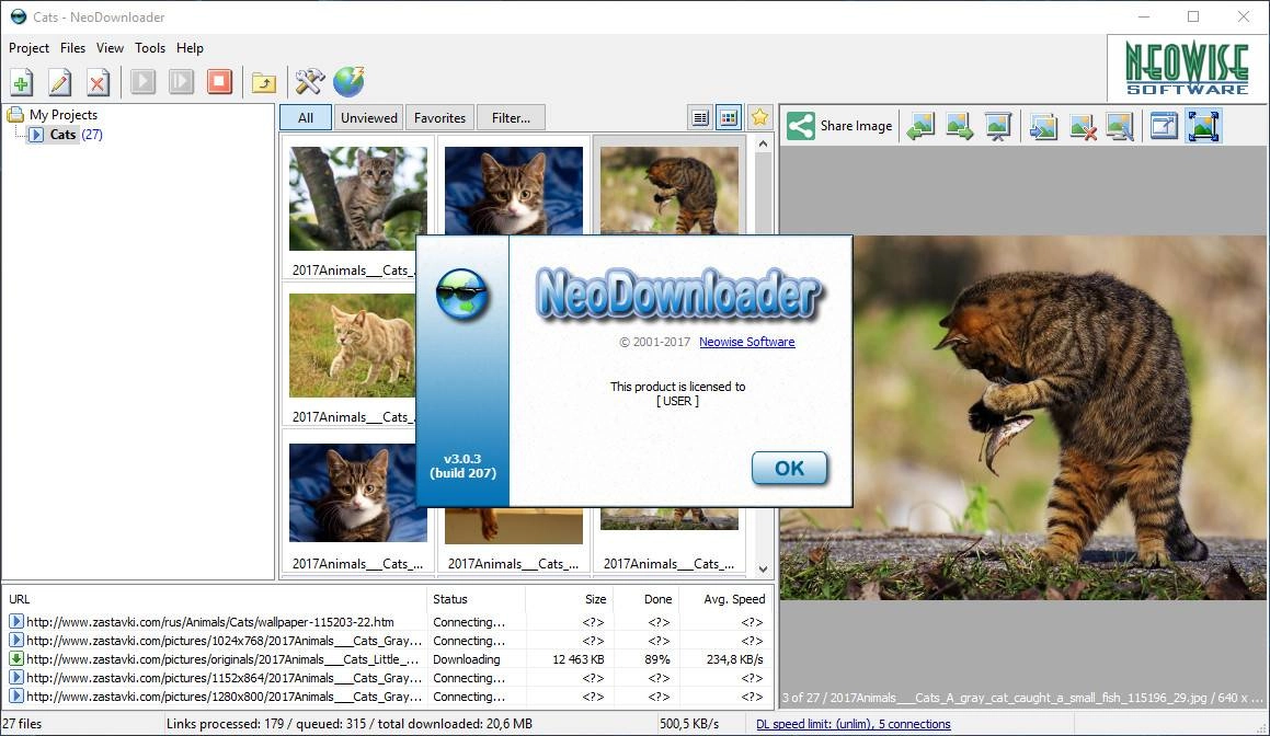 Как пользоваться NeoDownloader 3.0.3 Build 209 RePack by вовава