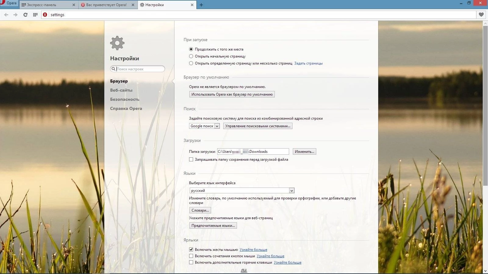 Как пользоваться Opera 24.0.1558.61 Stable