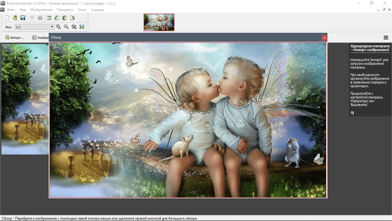 Как пользоваться PanoramaStudio 3.2.0 Pro RePack by TryRooM