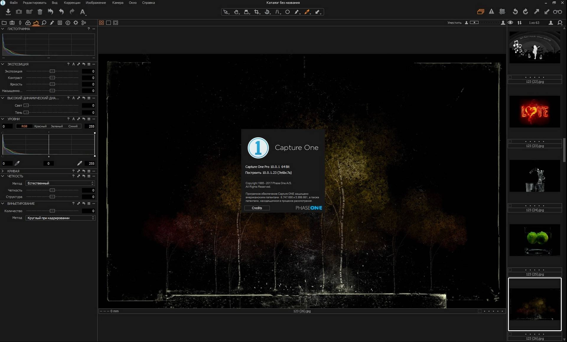 Как пользоваться Phase One Capture One Pro 10.0.1.23