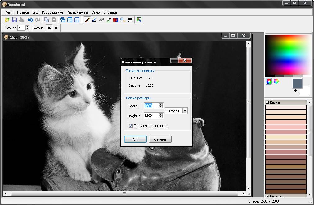 Как пользоваться Recolored 1.1.0