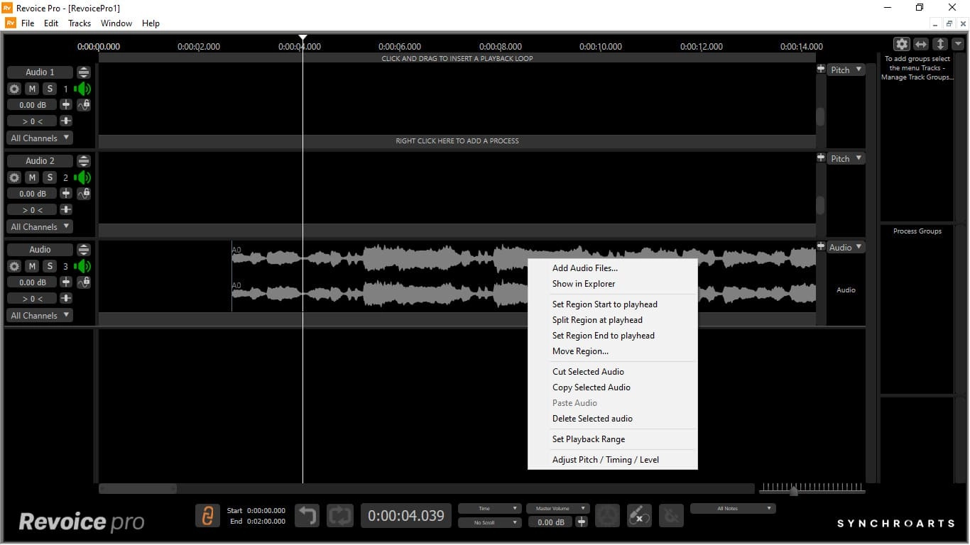 Как пользоваться Synchro Arts - ReVoice Pro 5.1.19 STANDALONE, VST 3, AAX RePack by R2R