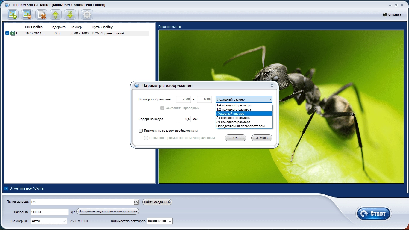 Как пользоваться ThunderSoft GIF Converter 4.3.0.0 RePack by 78Sergey