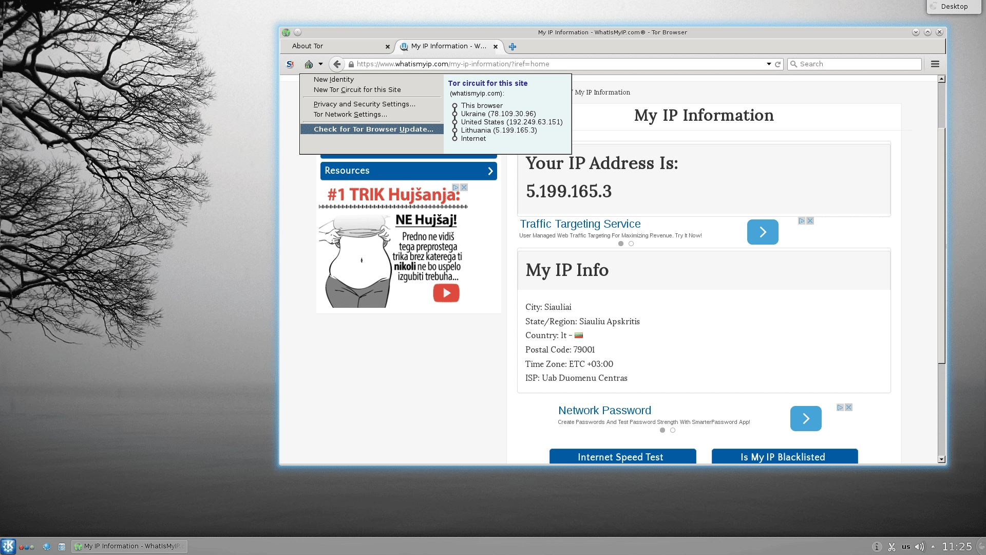 Как пользоваться Tor Browser 5.0