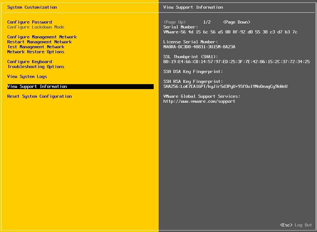 Как пользоваться VMware ESXi 7.0 Update 1 Build 16850804 9xCD