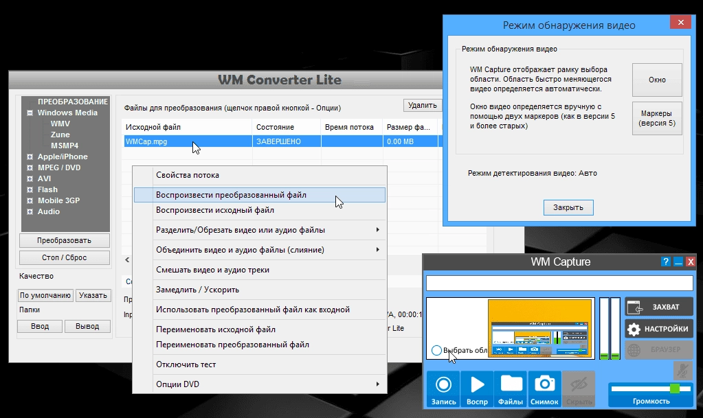 Как пользоваться WM Capture 8.6.2