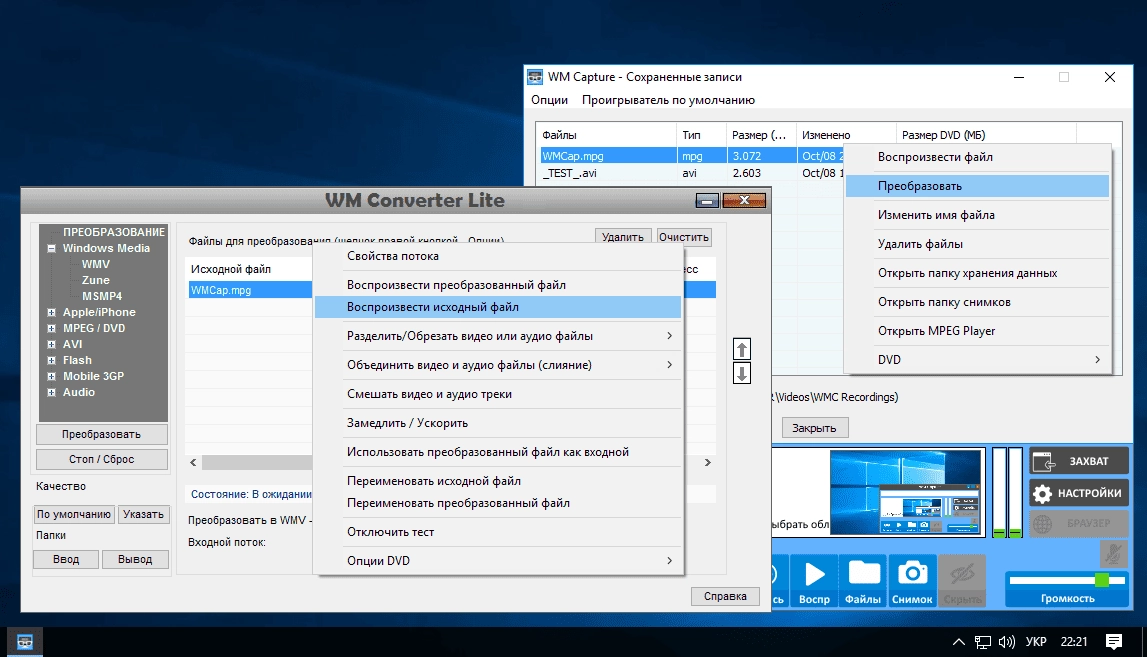 Как пользоваться WM Capture 8.7.1