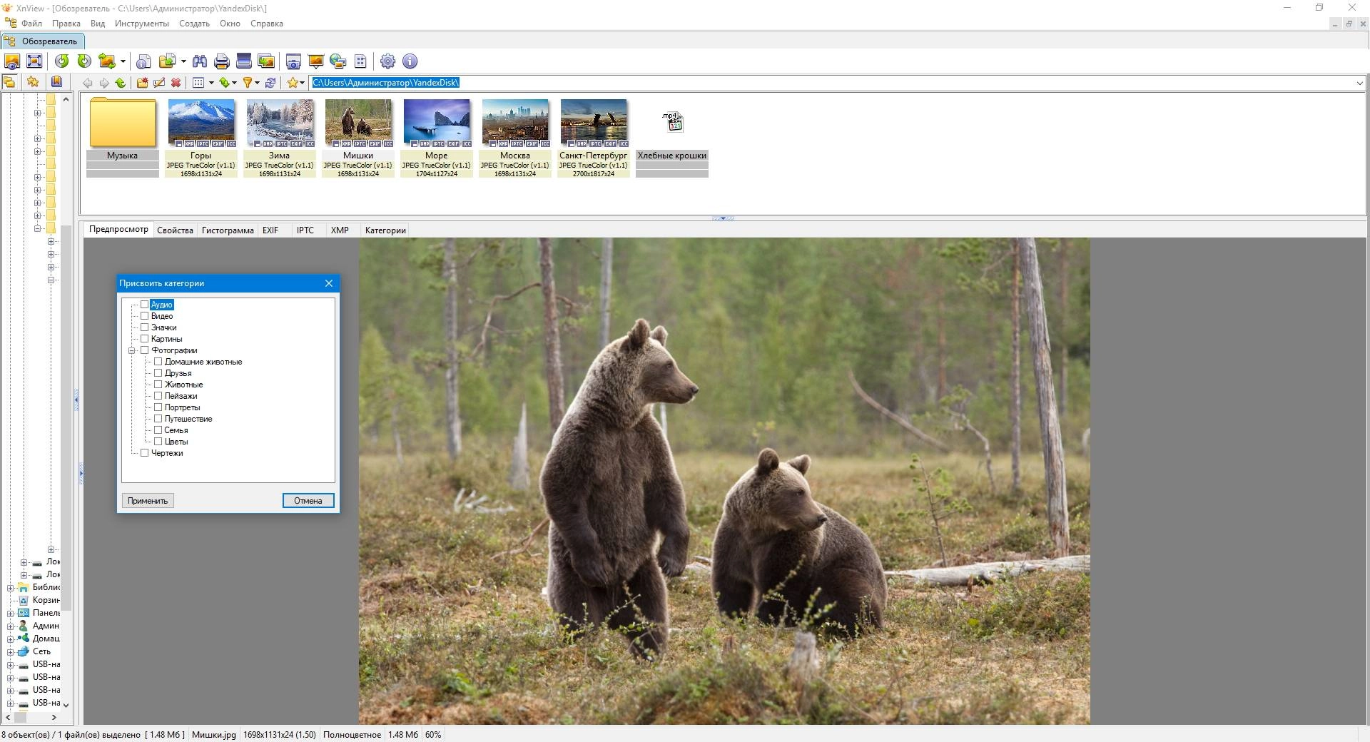 Как пользоваться XnView 2.43 | Minimal | Standard | Extended + Portable
