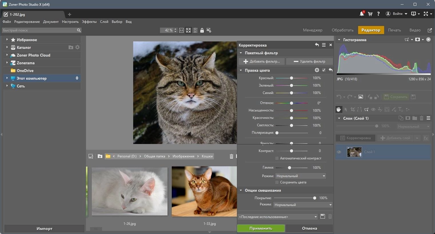 Как пользоваться Zoner Photo Studio X 19.2309.2.507 Portable by 7997