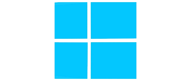 Windows 11